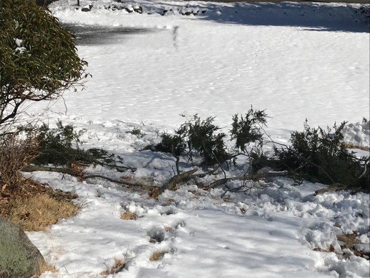 886C0EA9-0D41-4626-8162-4FA252EBBED7